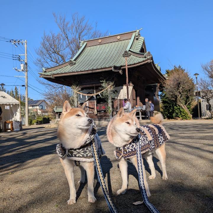 60b8dcd7 ac82 4503 800f 5d96d3f5f239 1767238342810