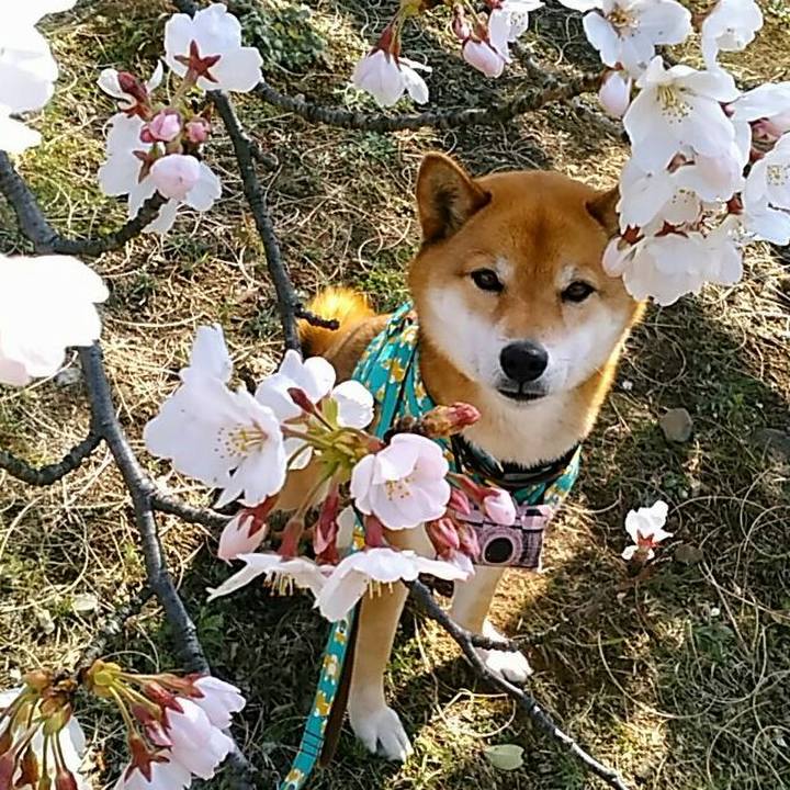 60b8fe61 6e60 4794 aa9e c4e4df95c040 1554257568433