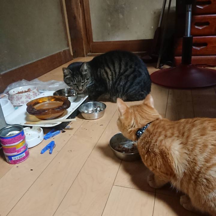 60b91d8f 0a86 4274 9176 5654e4a1bbb0 1636802751274