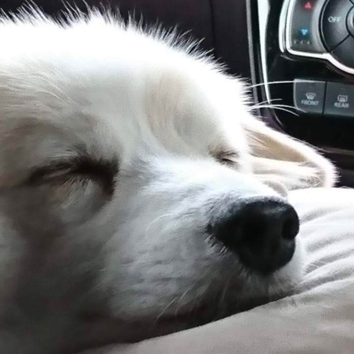 60b92b09 a55b 437f ac93 4d51ae8889fd 1639194873049