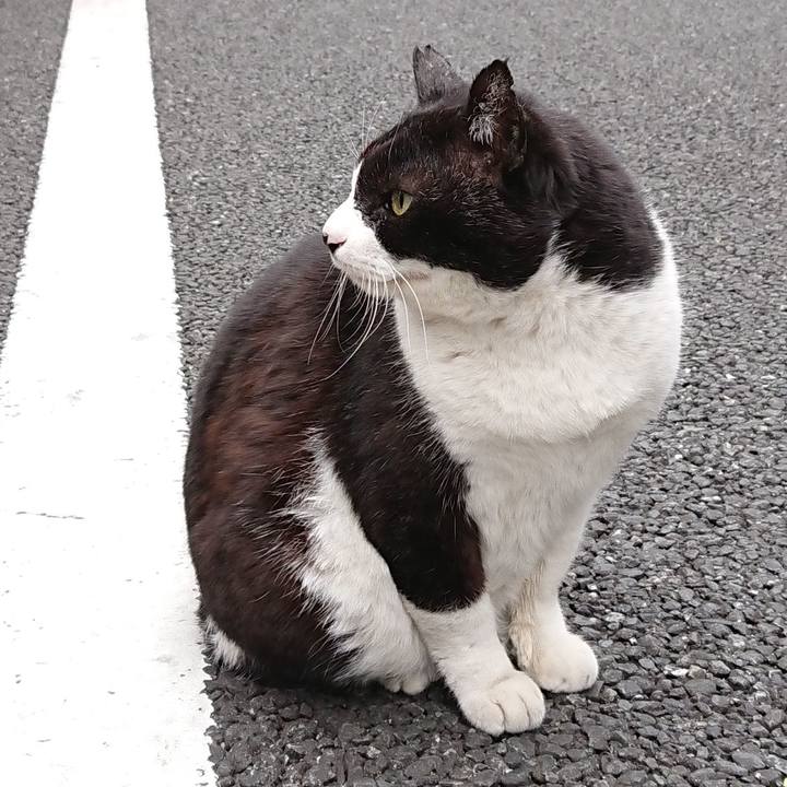 60b9403a 9814 44a5 bd12 eb4c1fb206d5 1648549279814