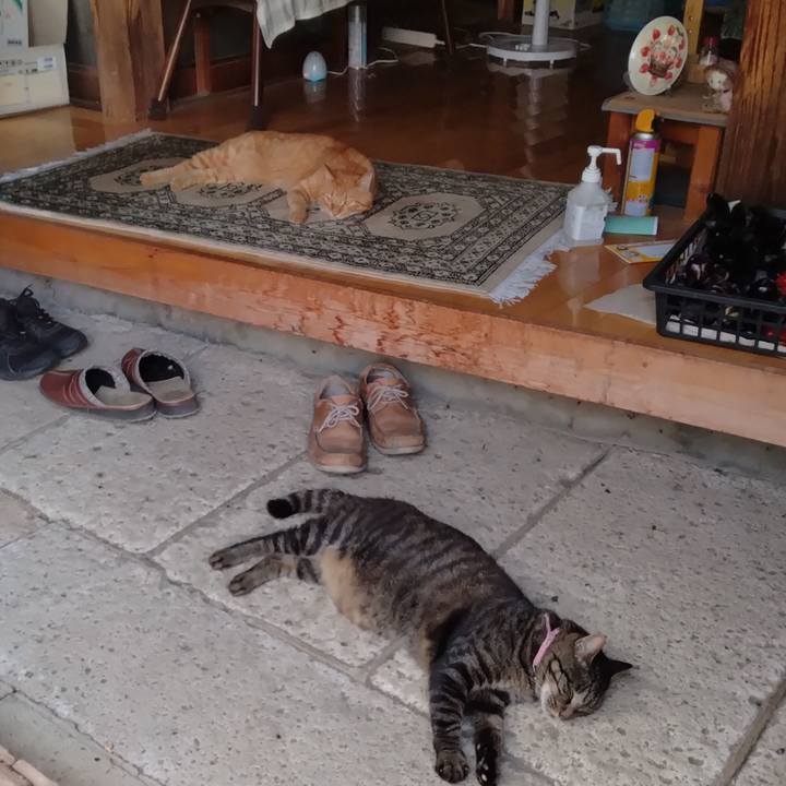 60b94f72 0638 4cee ae5b a577cecc404f 1724403443767