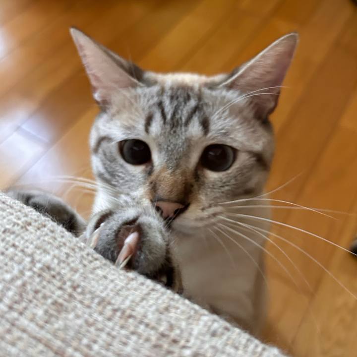 60b95470 7989 4f38 848f 62826f685271 1754433020344