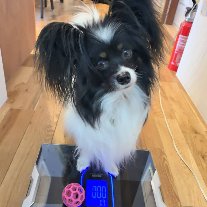 60b95e82 0e9c 4d52 b70a e7b5ace263ec 1556576252906