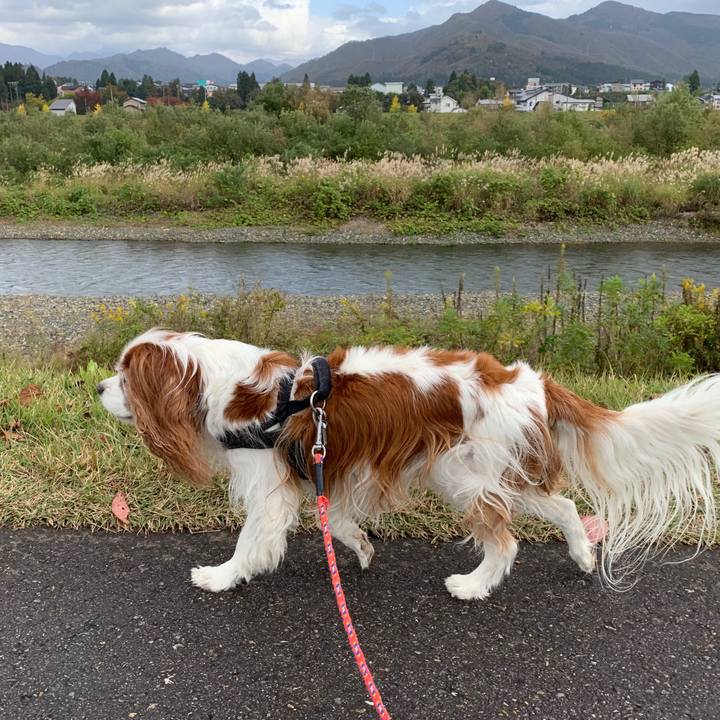 60b973ee 40f0 461e b8fc 5ad0509493e0 1603942927607