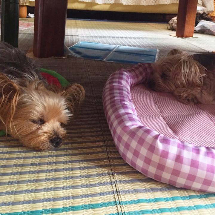 60b976af e87f 4754 ba55 49fbd87c6ece 1534382984287