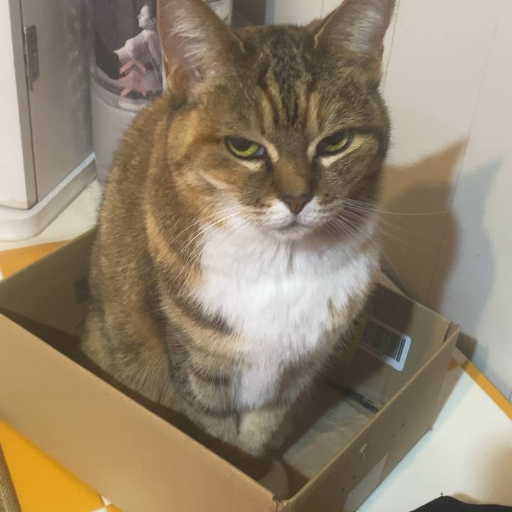 60b9841e e11c 4d7d 9bfc 1f90145027ea 1742334601094