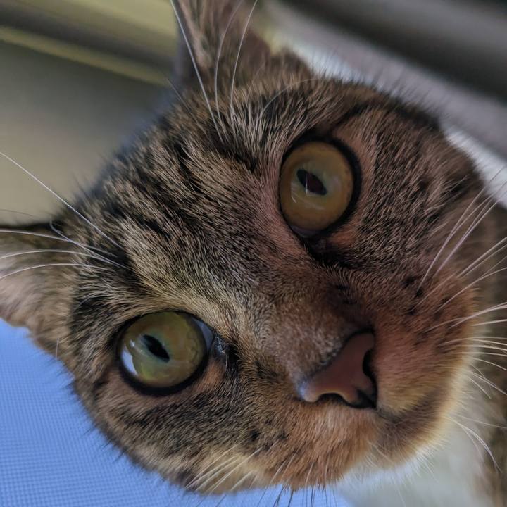 60b9bcd4 969f 40d1 b179 65ee680fcce8 1689540691820