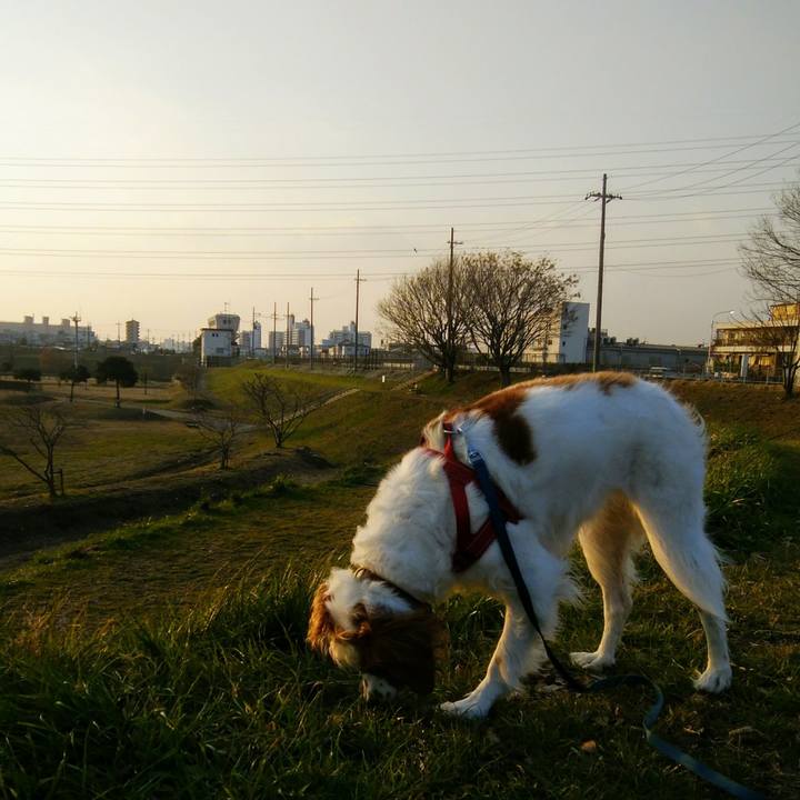 60b9cedf fc56 4234 8616 76a35bac0aff 1546946217979