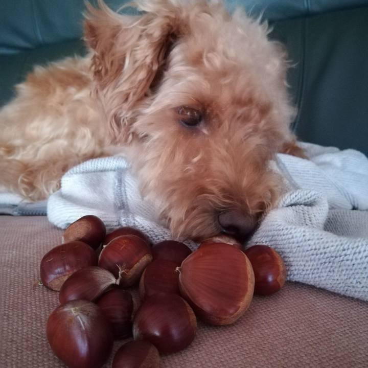 60b9d0ae f6aa 4aae 9f18 38e1314445af 1537828351545