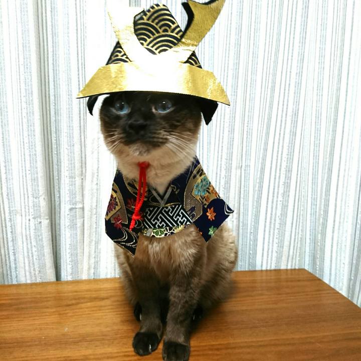 60b9facd 1fb6 4ddb a31f 0925f78897d5 1557059663960