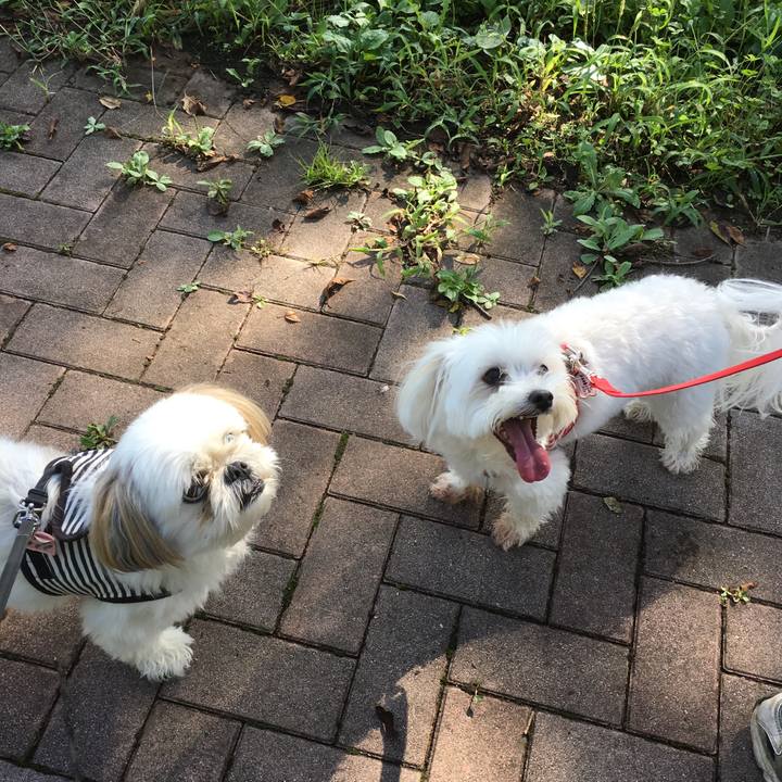 60b9faf3 d192 4a77 915a d2512a5a889f 1537075729728