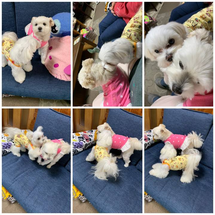 60baa8b1 b54a 4336 90f5 ba31e35d91a2 1604630376695