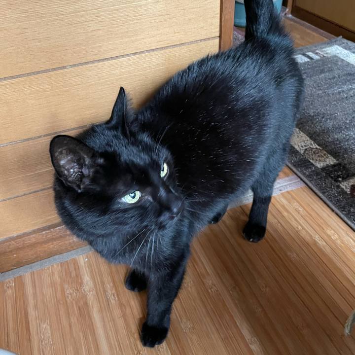 60bac35b c525 4781 ad9f 173b6f0c9e24 1614043454217