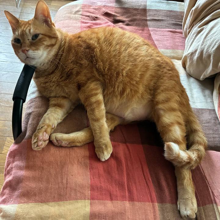 60bacd4a a5bd 424f 8c25 7df9774257e8 1751669526810