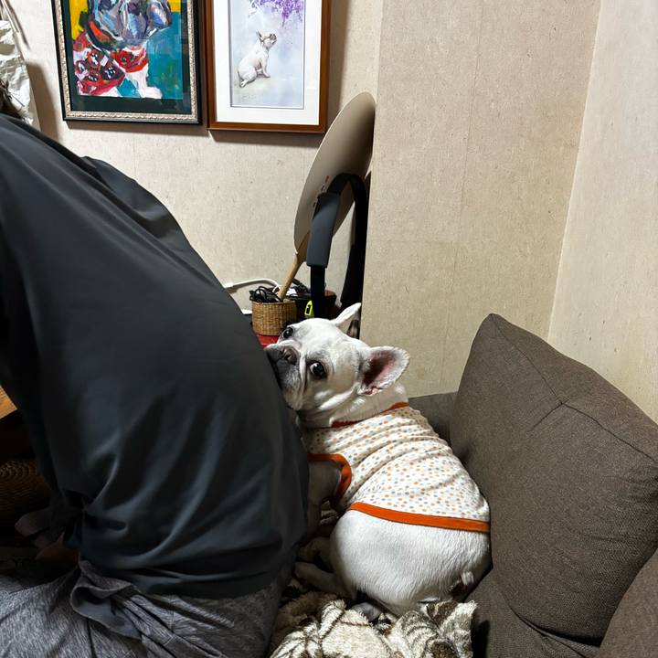 60baf83b a573 4b8e bca5 54bdd8764972 1791239540961
