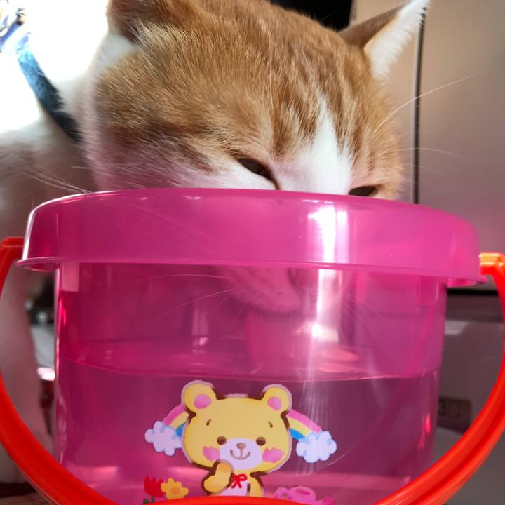 60baffa4 1799 41d6 9eee adba62e8f514 1510887840422