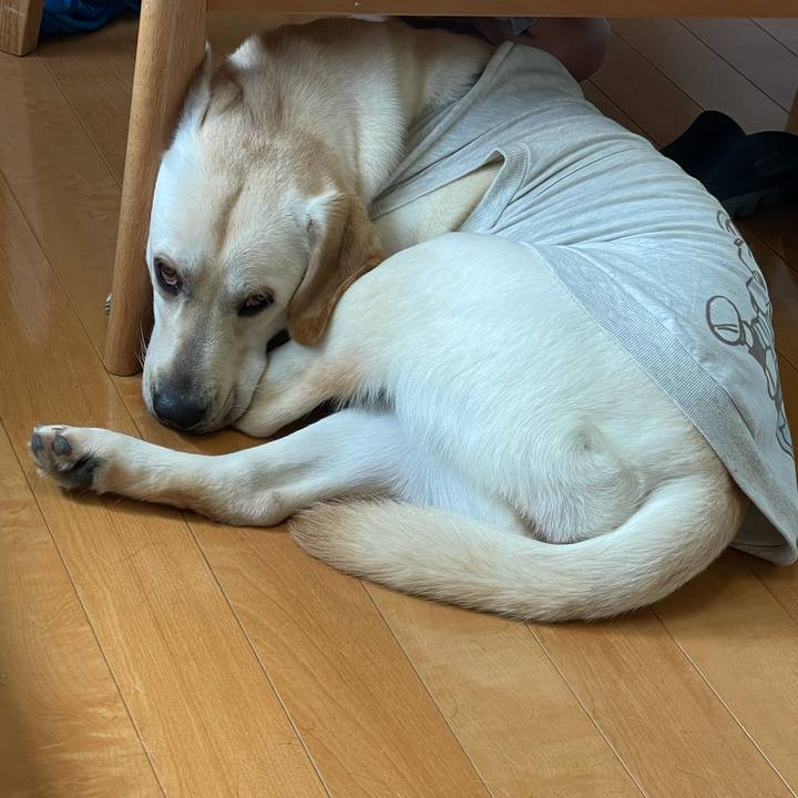 60bb26d5 a83d 4b10 a750 f34435b5bd95 1632371620779