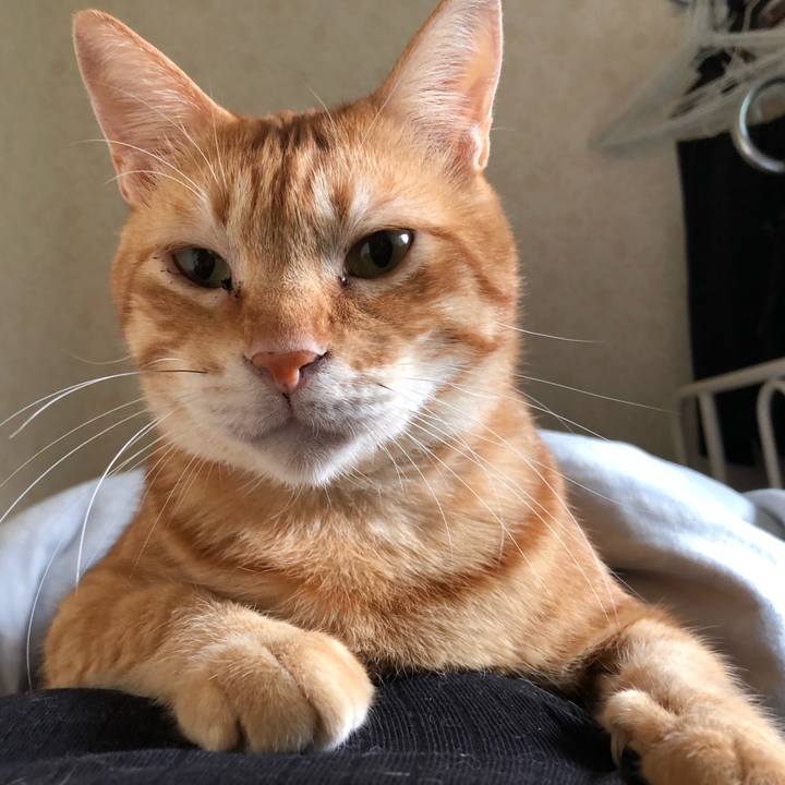 60bb2973 6d15 4d2f 8ffc e0a6c36a7a84 1569627409011