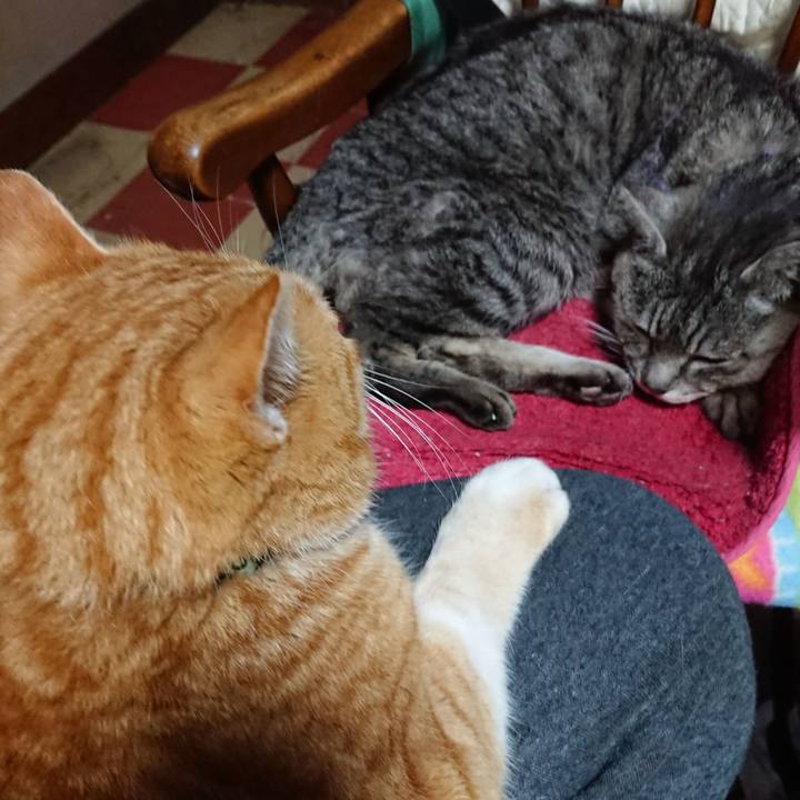 60bb9923 26a3 4ea2 9319 c44503f98700 1581833849090