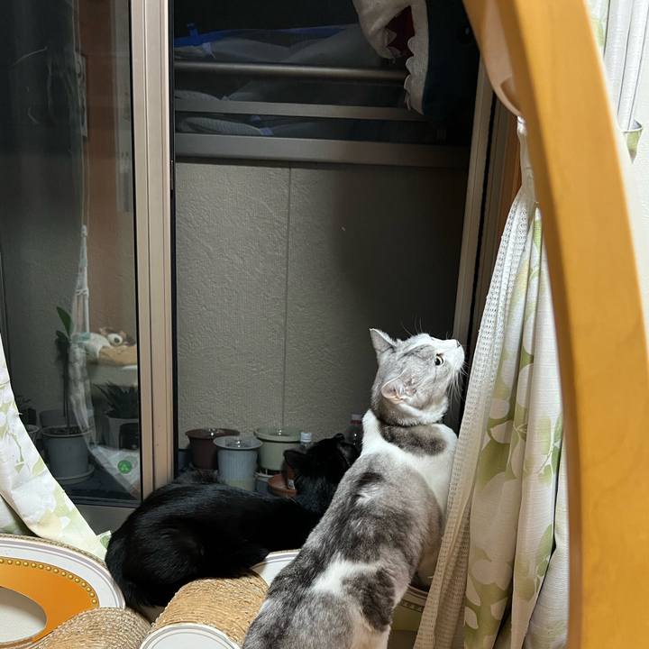 60bbac27 ac4e 44c0 ae06 9e8433fd161b 1690075246584