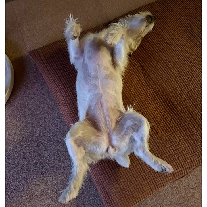 60bbe17a 1495 470c 8f7a d6dc3edf7064 1753624893923