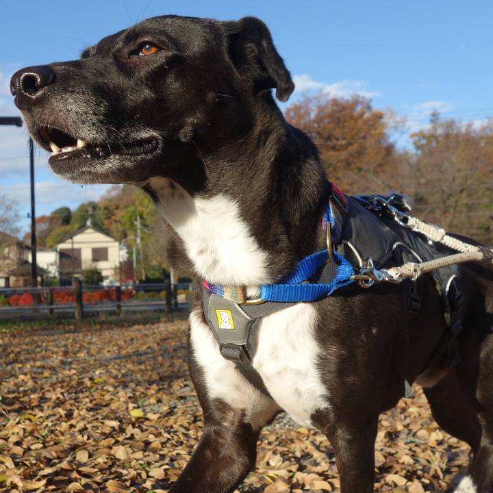 60bc0040 f94a 446a bdee 06485c7a6e88 1638492134417