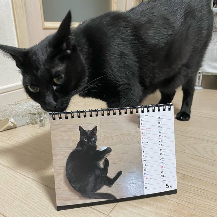 60bc52fb c93e 44c5 ad7a b27f33daa11e 1685624770977