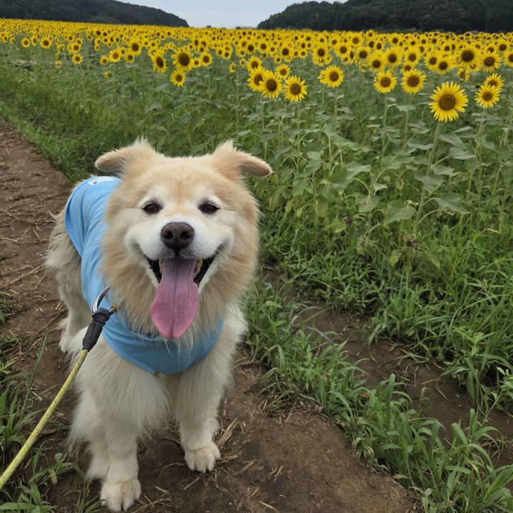 60bc747d 474e 4f6b 9e79 416c1e5fa58f 1754997591612