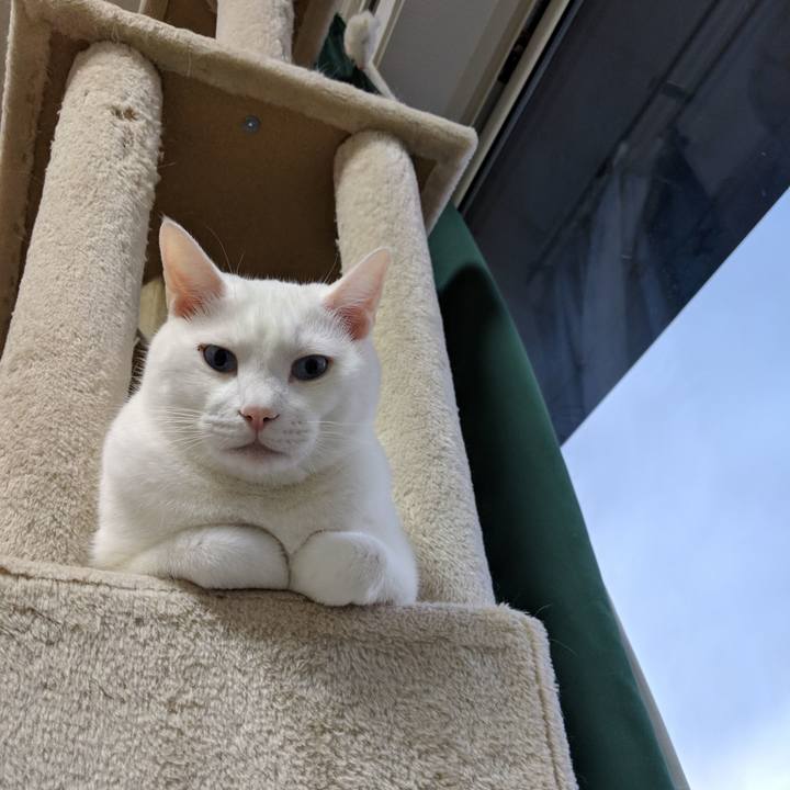 60bcd548 bc5e 4349 ab87 c4162344e64e 1548480389534