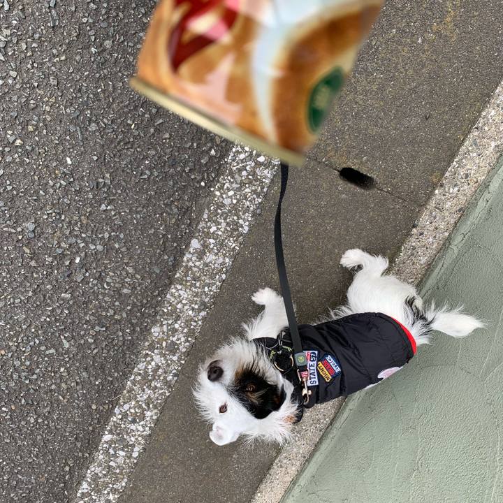 60bce647 1b91 4837 a00d e9b7db5d9a1a 1579657251991