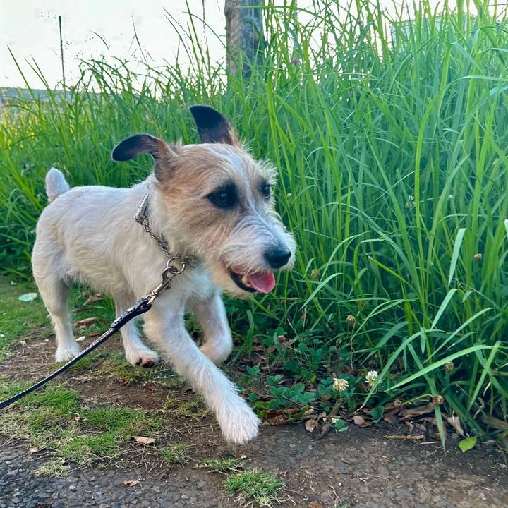 60bcf1fd 4ef0 4a54 9a3a 9210d167c47b 1720144003381