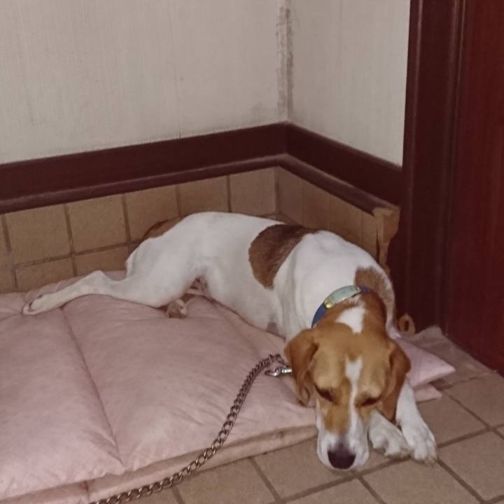 60bcfb64 27b8 4d5c b228 dc6e364fc147 1564404203561