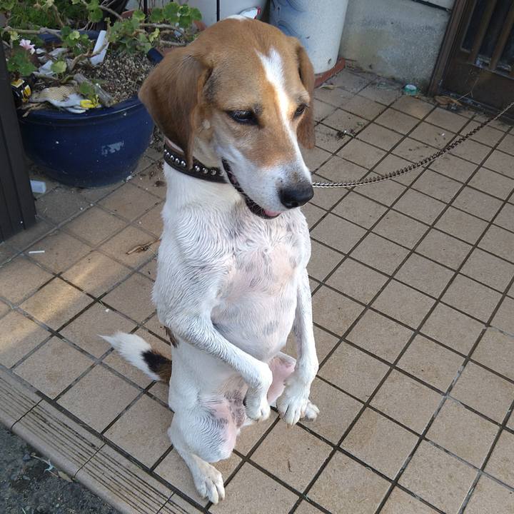 60bd1f0f 3a1e 4f8e a6b1 44a3b9a73bae 1662975945889