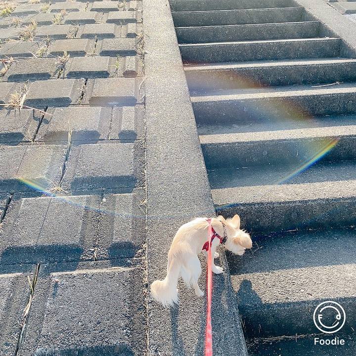 60bd2e82 9bcb 46c9 bb4b 00373bc1767b 1606368368182