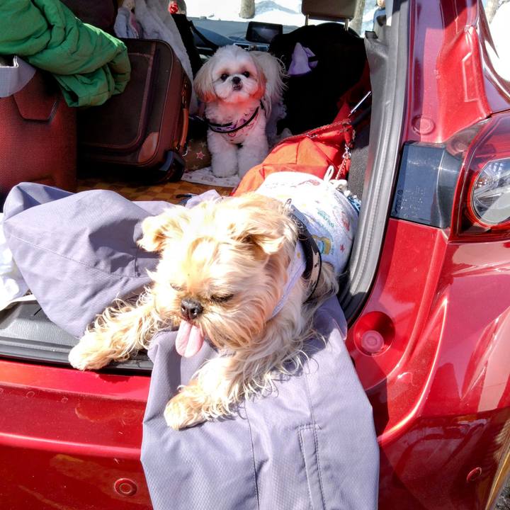 60bd66ca 9d78 47ce 925b 88de383ae6ae 1676847541686