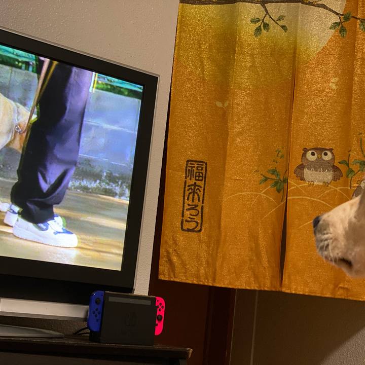 60bd6fa2 e002 42b8 830a 920814b84d82 1616371293054