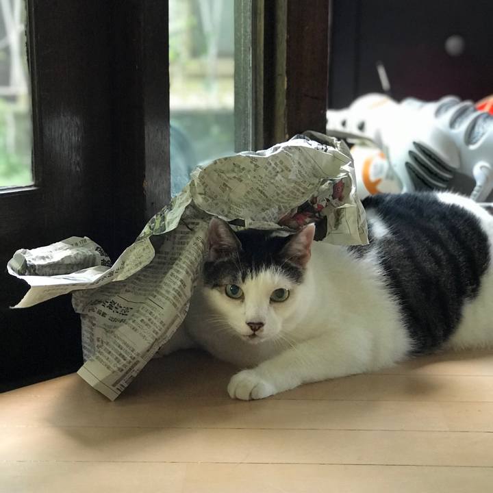 60bd76cc 1dc4 4264 a4ed c057e93fdc3a 1534643132507