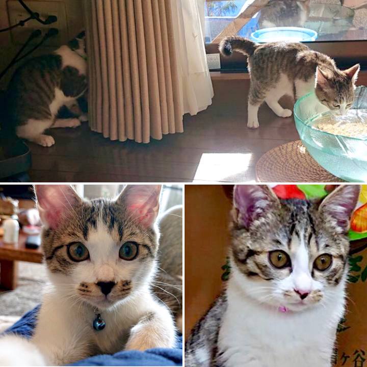 60bd8663 be39 4cdd 8cda 6e77a499fd8f 1546683011480