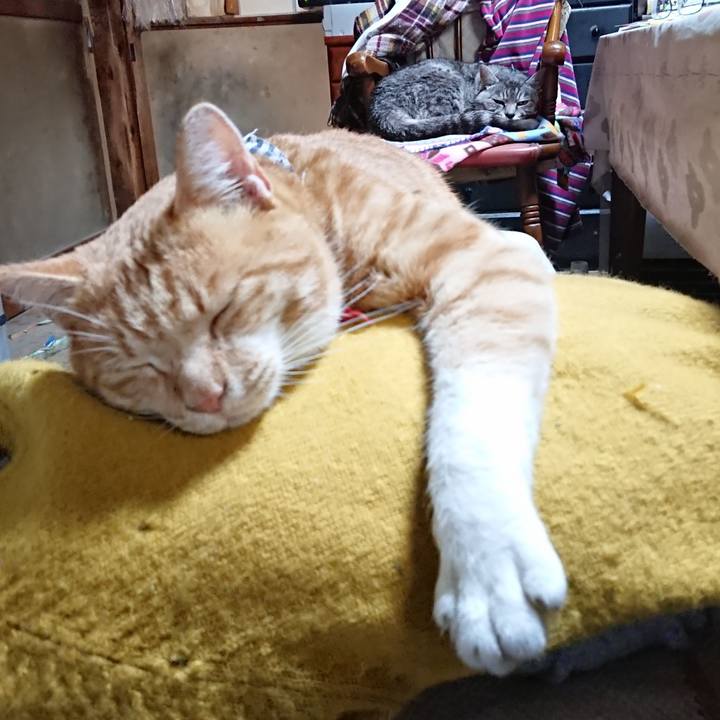 60bda11e 22fe 45be 9180 307bfd5b0b5d 1573554523175