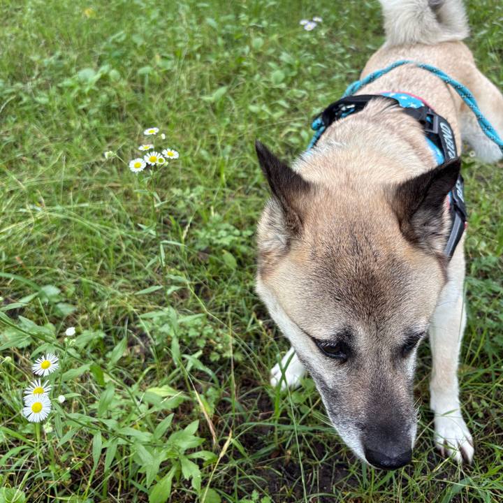 60bdb19a 1e0f 4a1b a2d4 723ebcbbe679 1749988065643