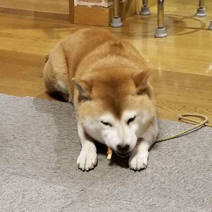 60bde634 5704 47e3 808b 71a2b0003dca 1635239087633