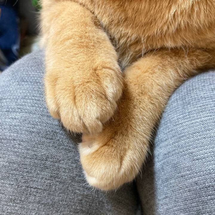 60be0951 c05d 4bcc ae89 634072f3bc89 1773894926826