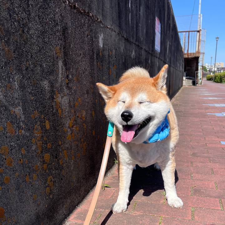 60be09da ae83 40ec 84da 67d0338c4172 1715412410773