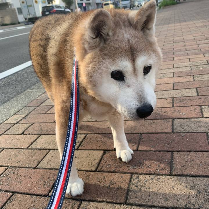 60be2fc7 c115 4519 ae64 7fe5f9f87a7d 1695546018208