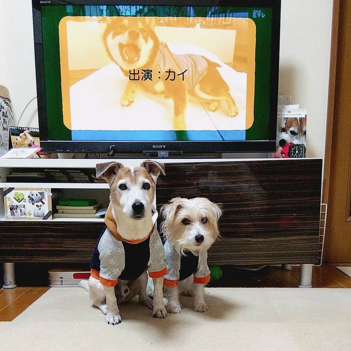 60be5967 b9dd 4352 9d85 3d07bf41b54b 1583273816924