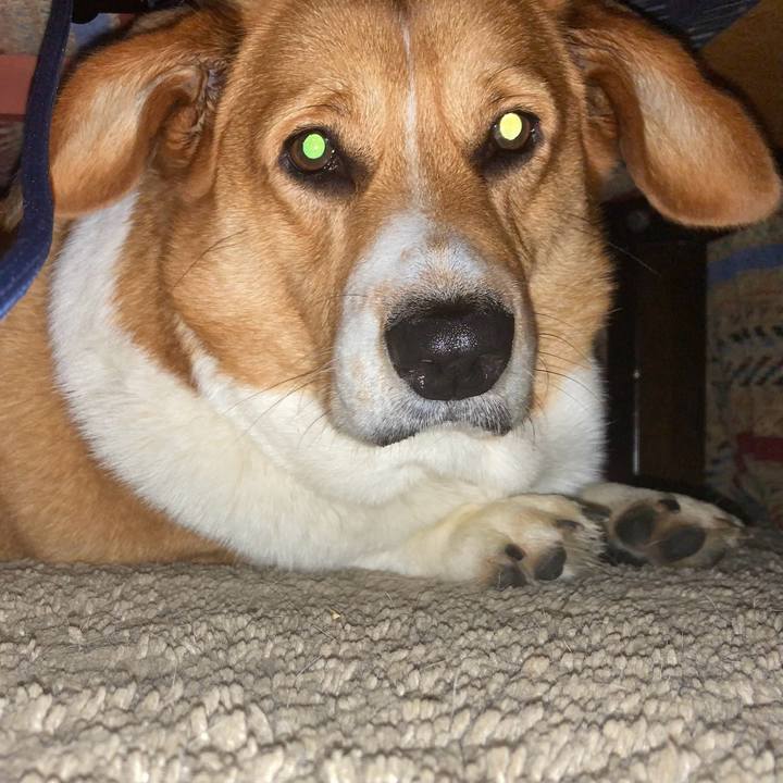 60be85d5 e332 4760 a71e 47b48a204de4 1715559859371