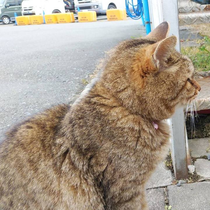 60beb413 5988 4174 aa35 692dca1829e6 1618572505937