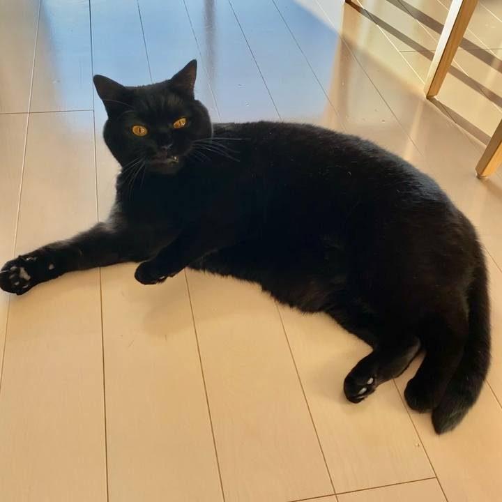 60beb783 69a5 47b8 9fdf 27b17e1a7e26 1640672932703