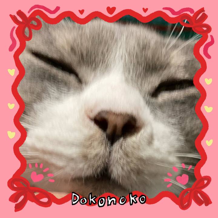 60bebd3a b622 4521 9772 ed74fc0c41dd 1706773222983